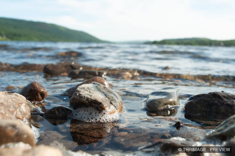 Wet shoreline stones and foam beside a calm lake