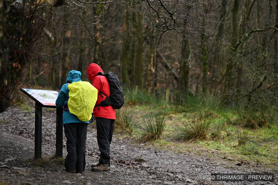 Two hikers consulting trail information in wet woodland