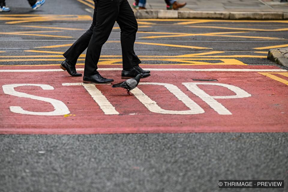 Pedestrians and a pigeon crossing a red STOP road marking