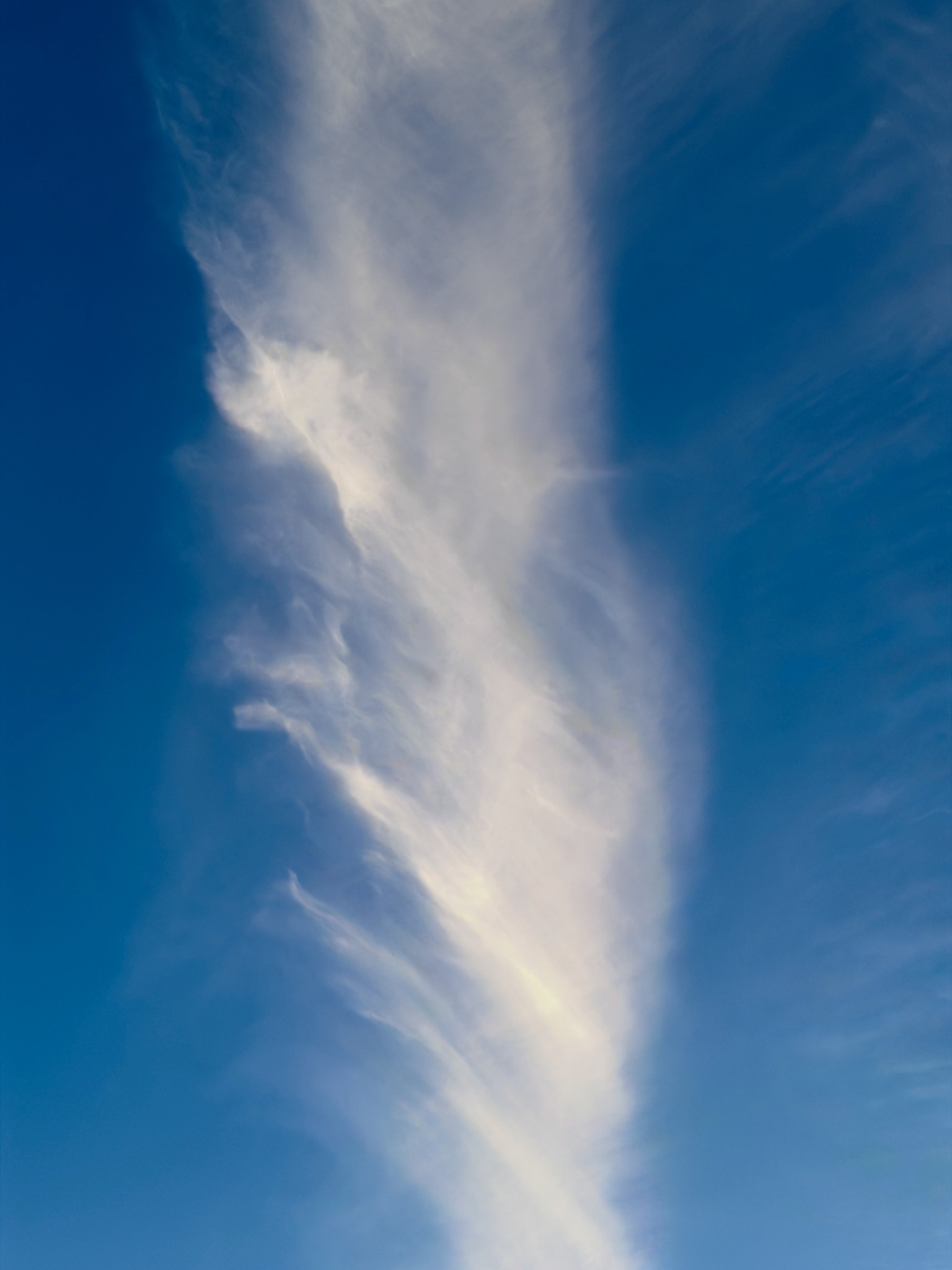 Tall feather-shaped cirrus cloud stretching through a deep blue sky
