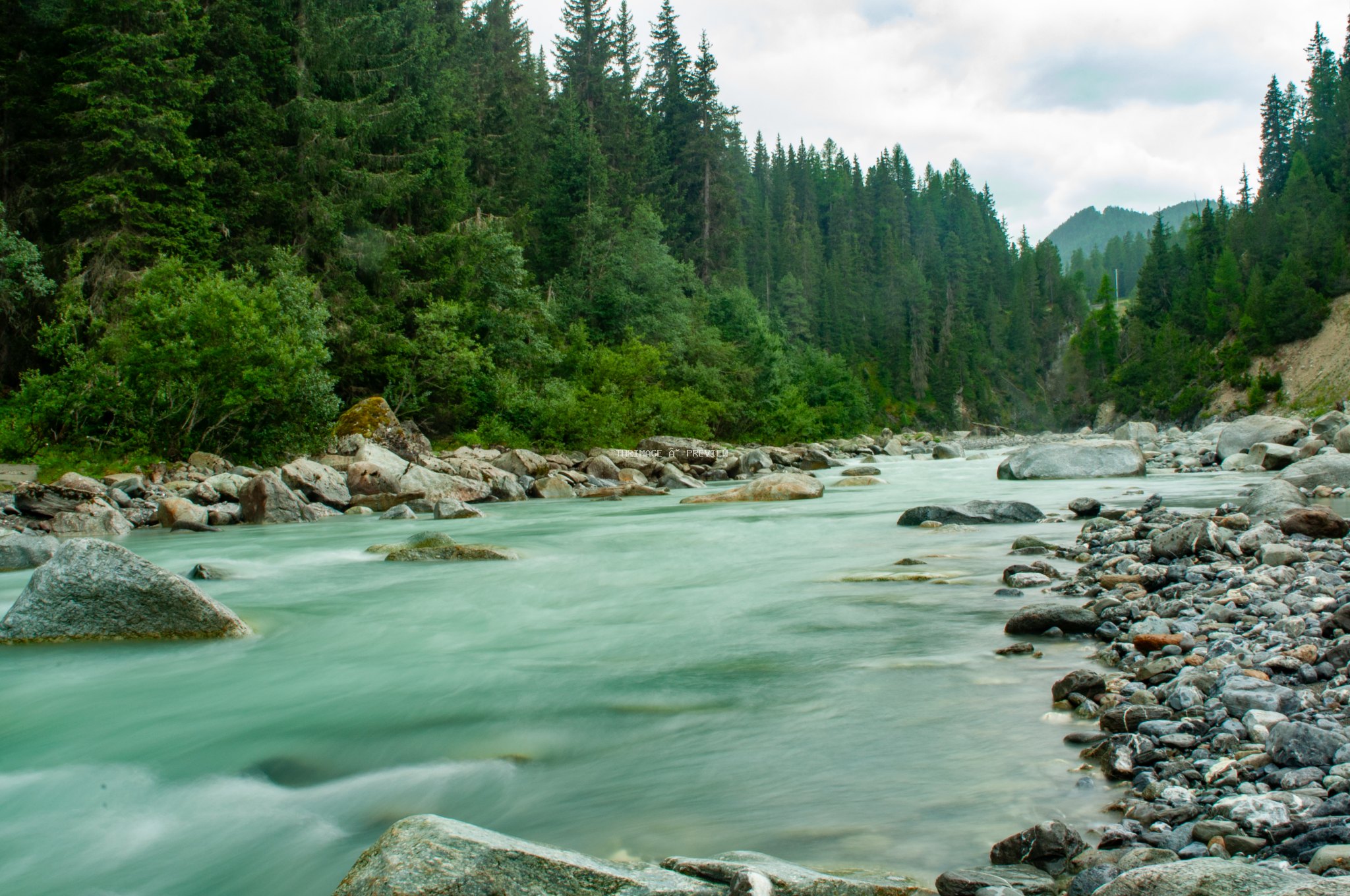 Turquoise river flowing around rocks through a dense conifer forest with hills in the background.