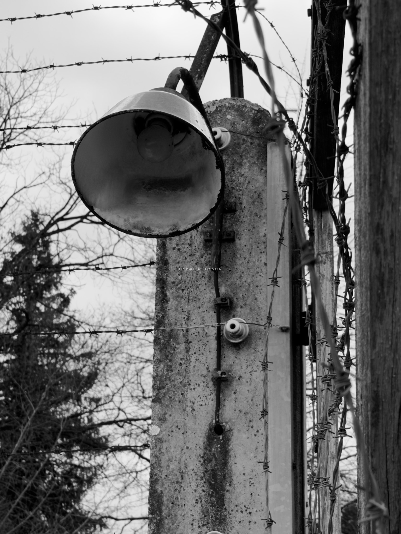 Perimeter lamp surrounded by barbed wire at Dachau Concentration Camp Memorial Site.