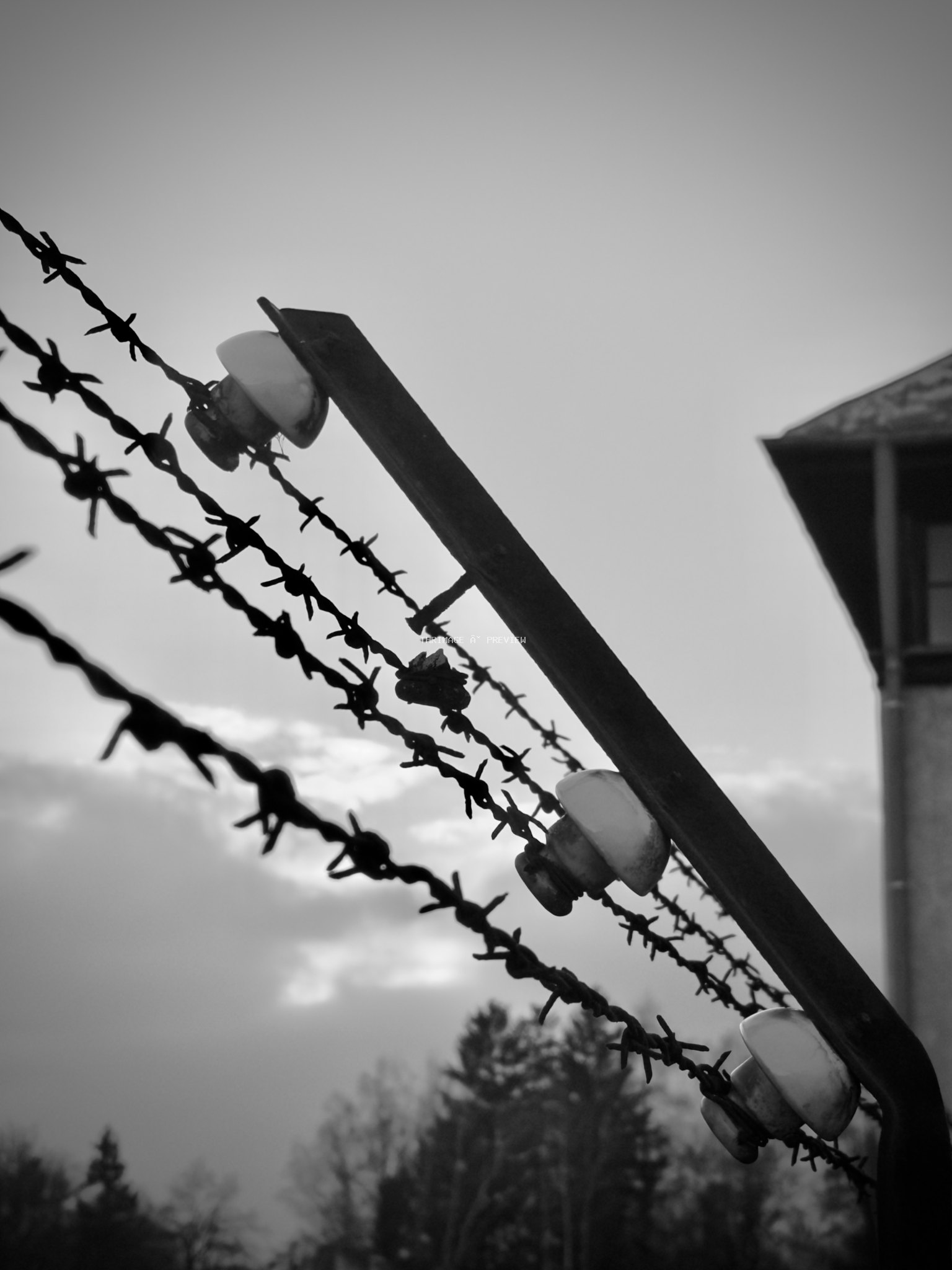 Barbed wire and ceramic fence insulators at Dachau Concentration Camp Memorial Site.